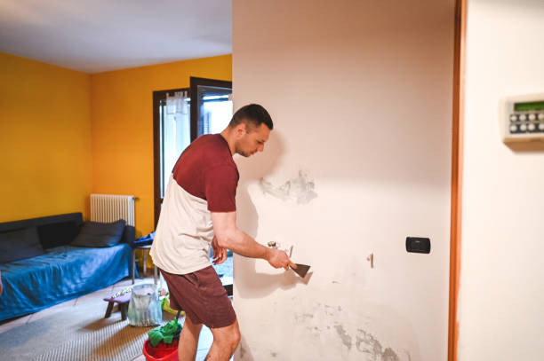 Best Home Mold Removal  in New Port Richey, FL